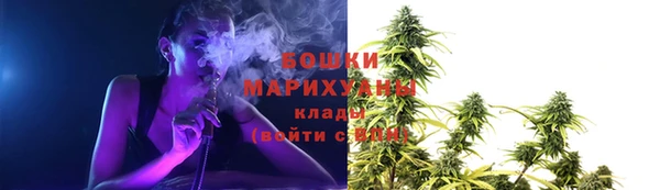 ПСИЛОЦИБИНОВЫЕ ГРИБЫ Абдулино