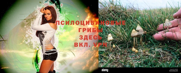 тгк Алексеевка