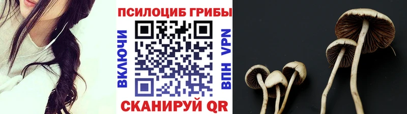 Галлюциногенные грибы Magic Shrooms  сколько стоит  Чкаловск 